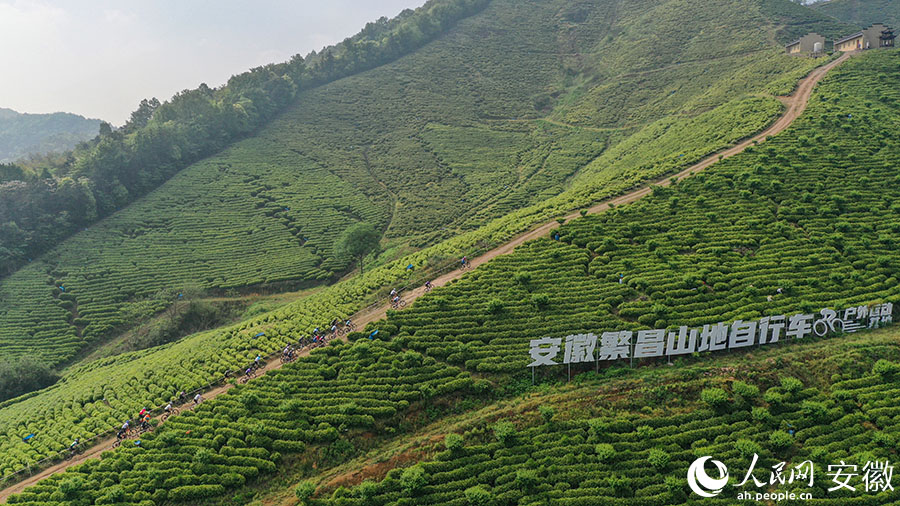 选手驰骋于茶园。人民网记者 张俊摄