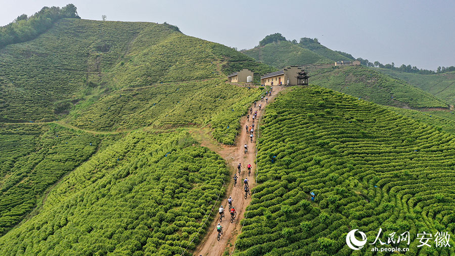 一路骑行一路景。人民网记者 张俊摄