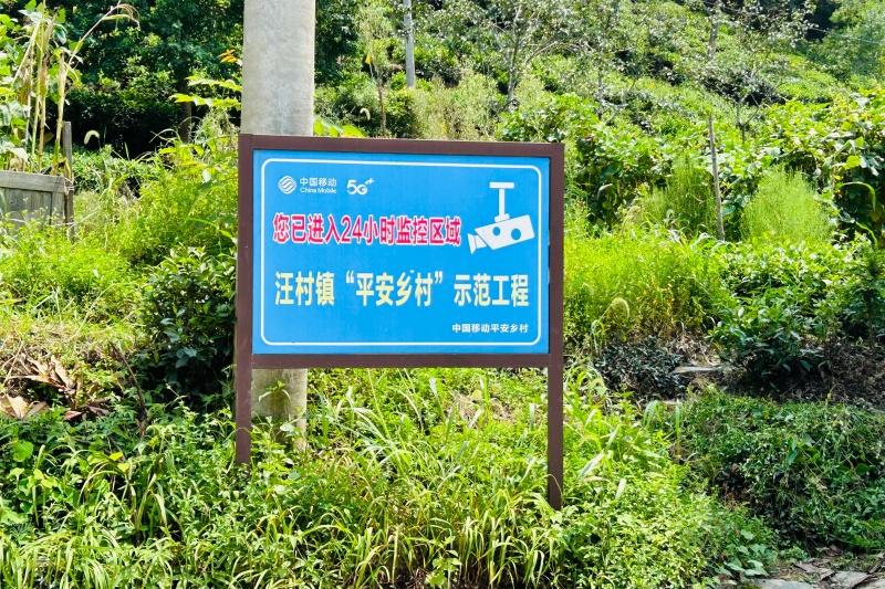 汪村镇“平安乡村”示范工程。安徽移动供图
