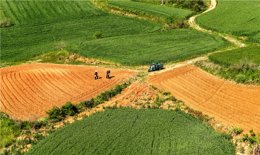 农民积极开展农事活动，田间地头一派忙碌景象。