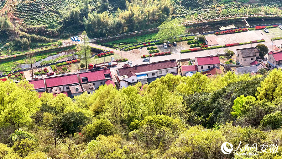 青山环民居，春日景如画。人民网 郭昊摄