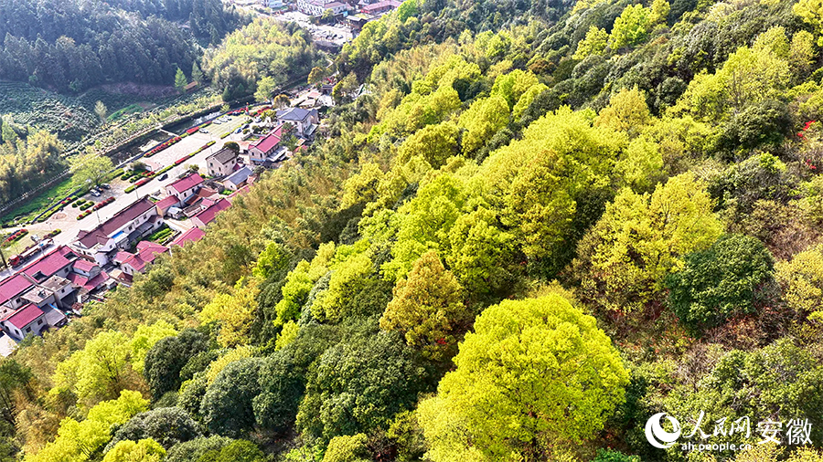 青山环民居，春日景如画。人民网 郭昊摄