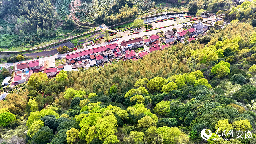青山环民居，春日景如画。人民网 郭昊摄