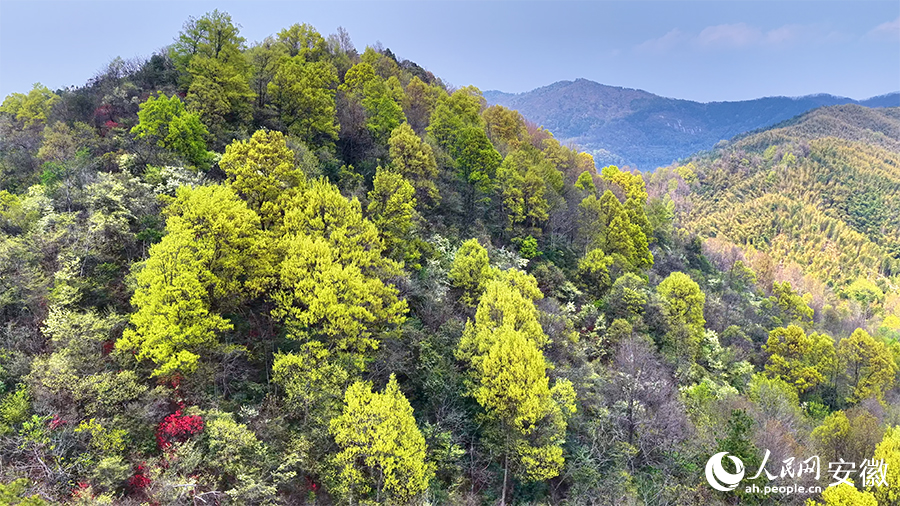皖南山水美如画。人民网 郭昊摄