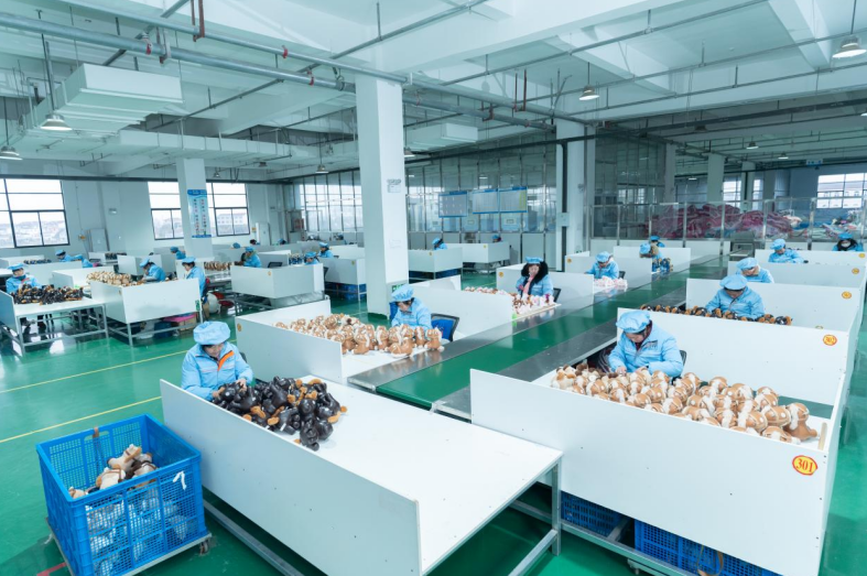 天长市嘉美乐礼品有限公司生产线。周瑜 摄