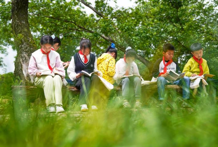 户外阅读。陈磊摄