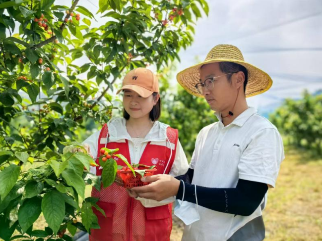 柳燕帮助种植户开展5G直播