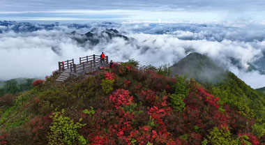 安徽石台：雲端春色 紅滿層巒