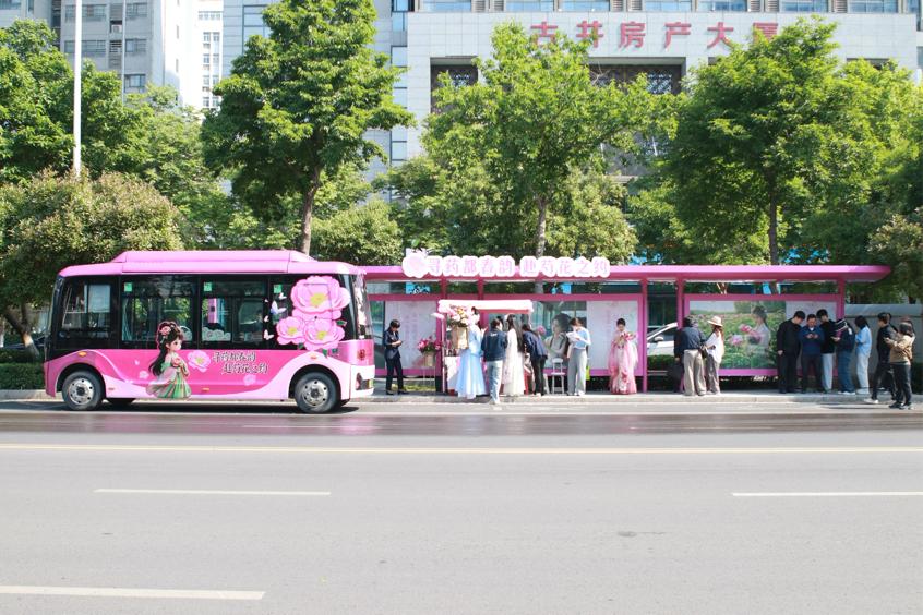 亳州芍花节赏花专线。亳州公交集团供图
