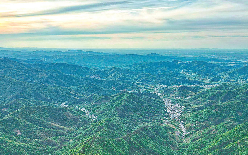 青山入画