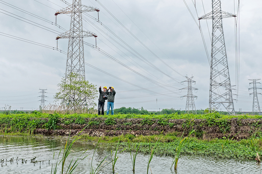 兩名供電員工用望遠鏡觀測鐵塔附近鳥類活動情況。陳海東攝