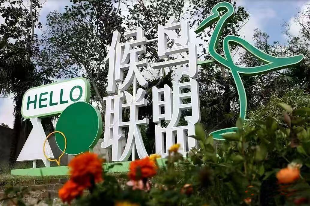 张溪镇候鸟联盟。东至县融媒体中心供图