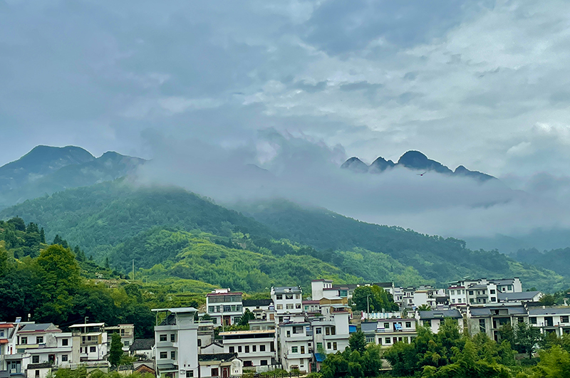 群山环绕的西村村。歙县县委宣传部供图