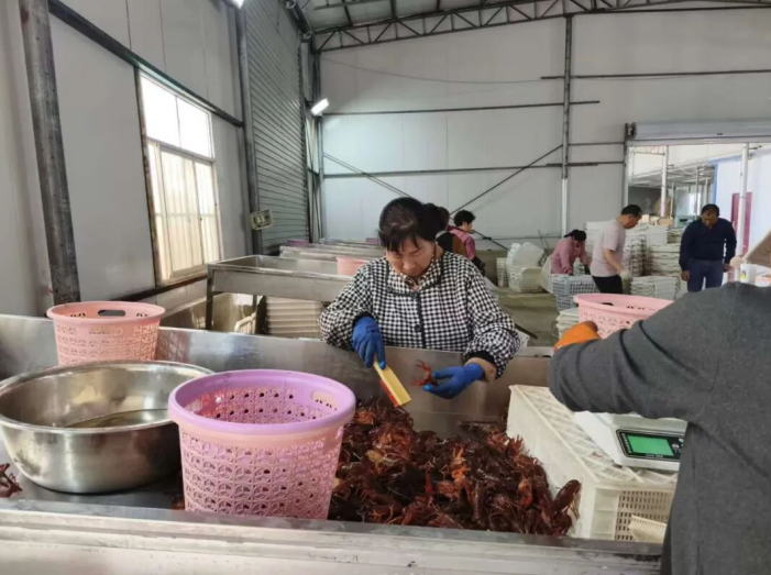 工作人員逐一精細分揀