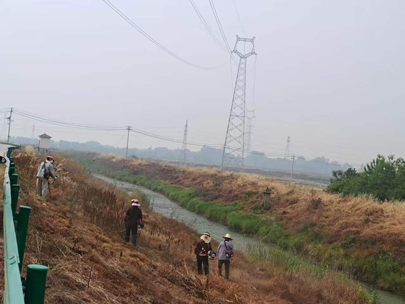 环境专项整治行动现场。