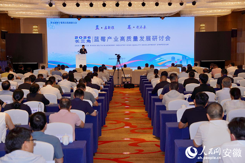 2026年长三角蓝莓产业高质量发展研讨会在怀宁举行。人民网记者 陈若天摄