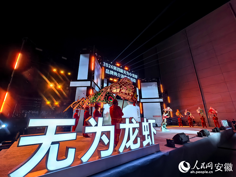 无为鱼灯“游”到了活动现场。人民网记者 汪瑞华摄