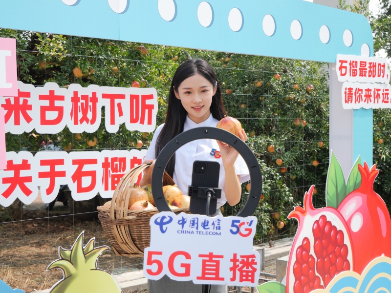 2024年，在安徽省懷遠縣茨淮新河岸邊石榴種植基地，中國電信蚌埠分公司全面優化網絡，開展5G助農直播，助力果農產銷兩旺，讓村民的日子越過越紅火。