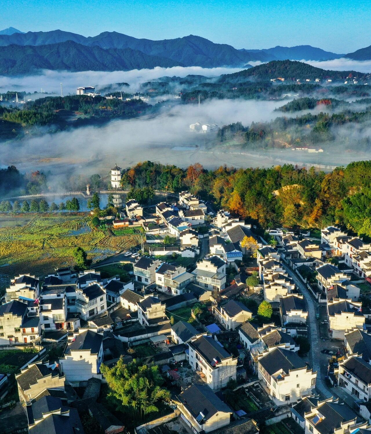 晨雾漫山，江村如画。江建兴摄