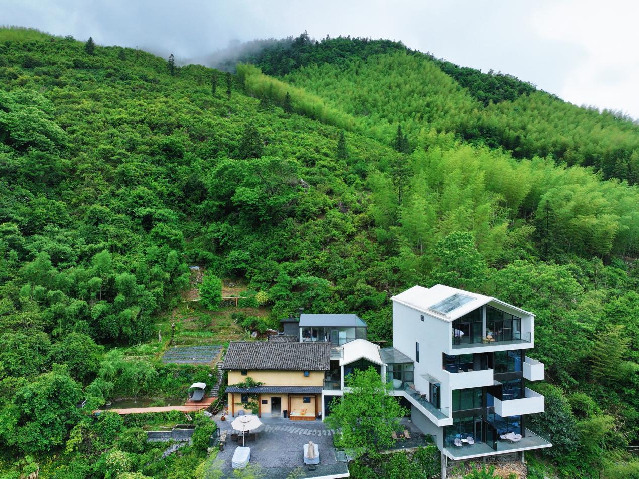 雲上民宿融於綠野山林。黃山區委宣傳部提供