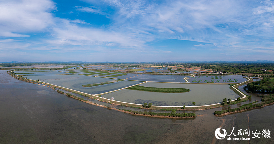 俯瞰郎溪县南漪湖入湖口生态湿地建设工程。人民网记者 张俊摄