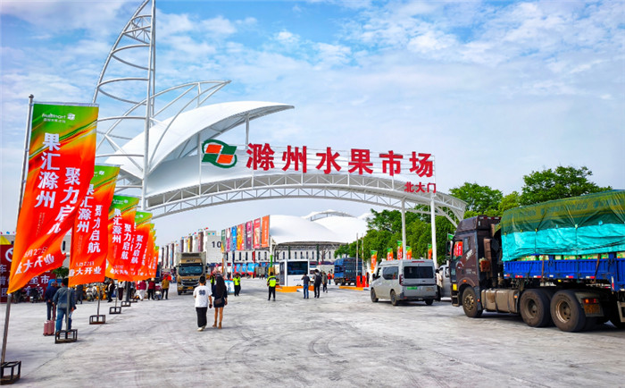 滁州水果市场门前运送水果货车排成长龙。李邦军 摄