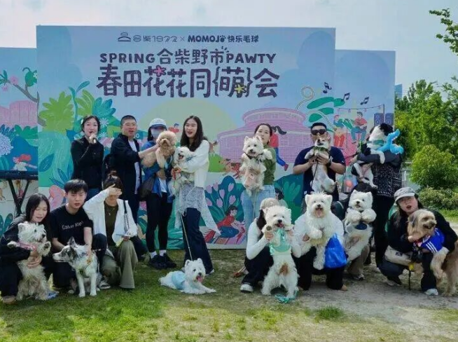 合柴宠物市集