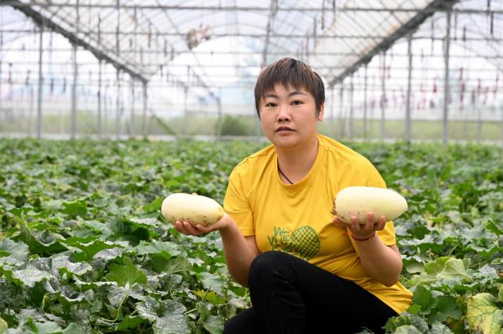 種植戶展示新品種甜瓜。杜剛攝