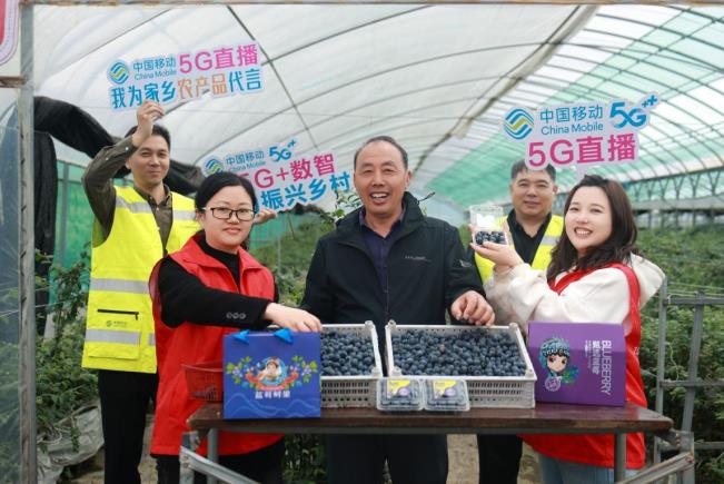 蓝莓丰收季，中国移动志愿者走进田间地头，通过直播带货助力农户拓宽销路。安徽移动供图