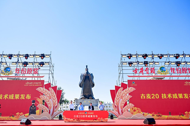 古井贡酒·年份原浆第六届原粮丰收季启动仪式，发布古麦20技术成果。古井集团供图