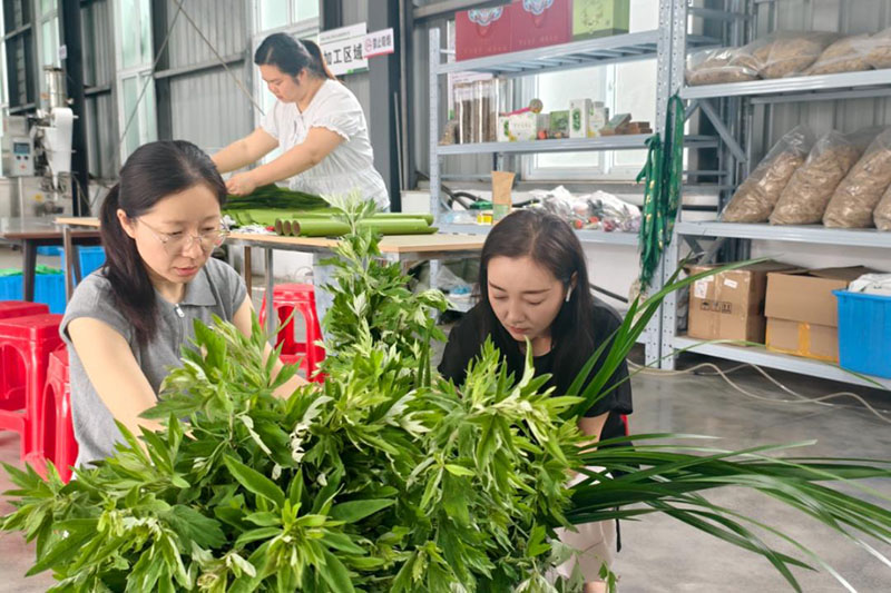 工人正在制作產艾草手工花束。