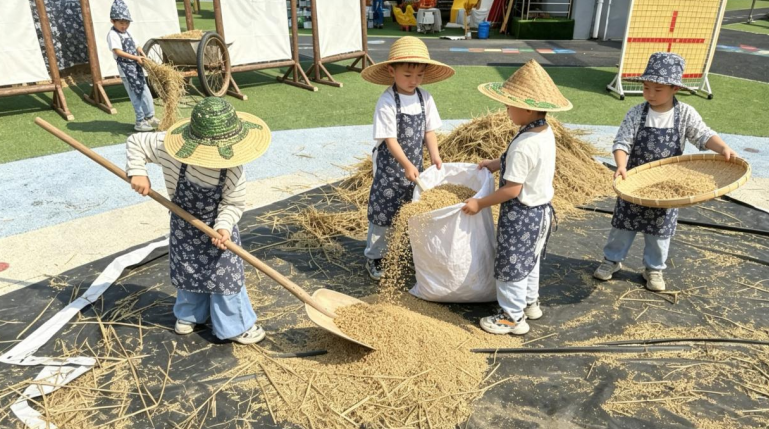 幼兒晒谷裝糧，在童趣裡體驗豐收農耕之樂。任瀟攝