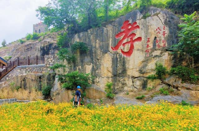 車牛返村。安徽移動供圖