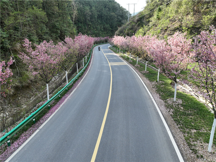 皖浙一号风景道。