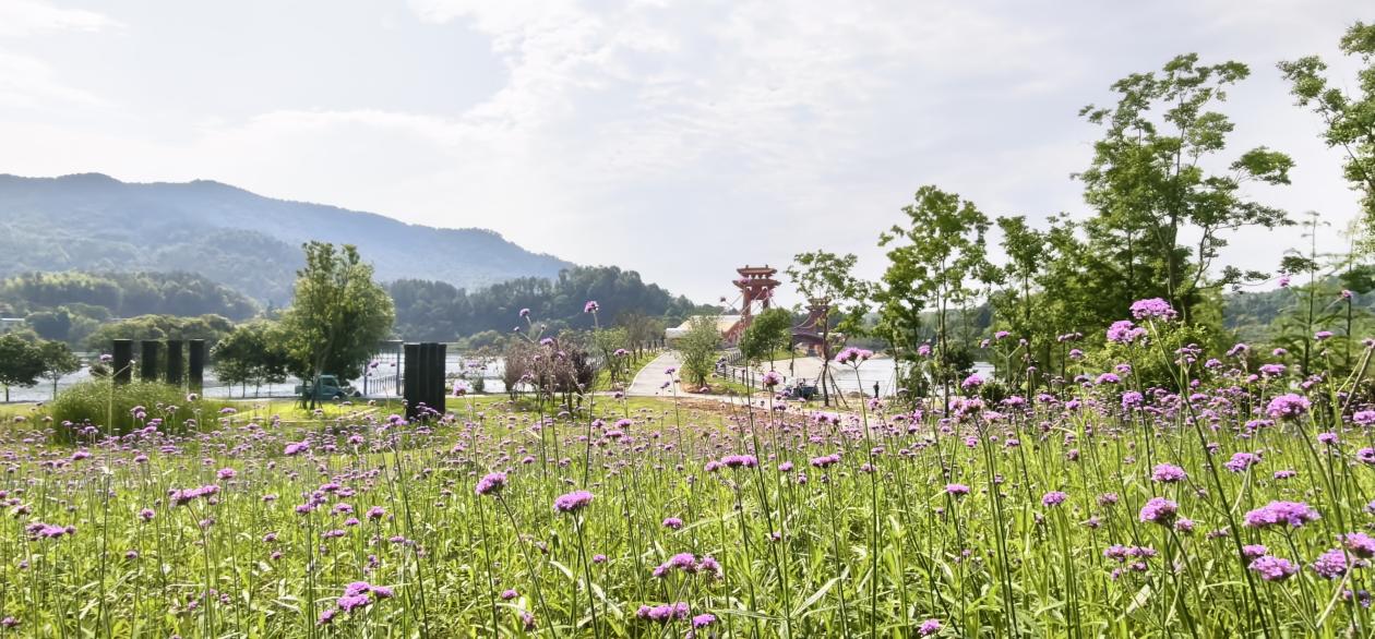 太湖縣打造農文旅融合發展新標杆。