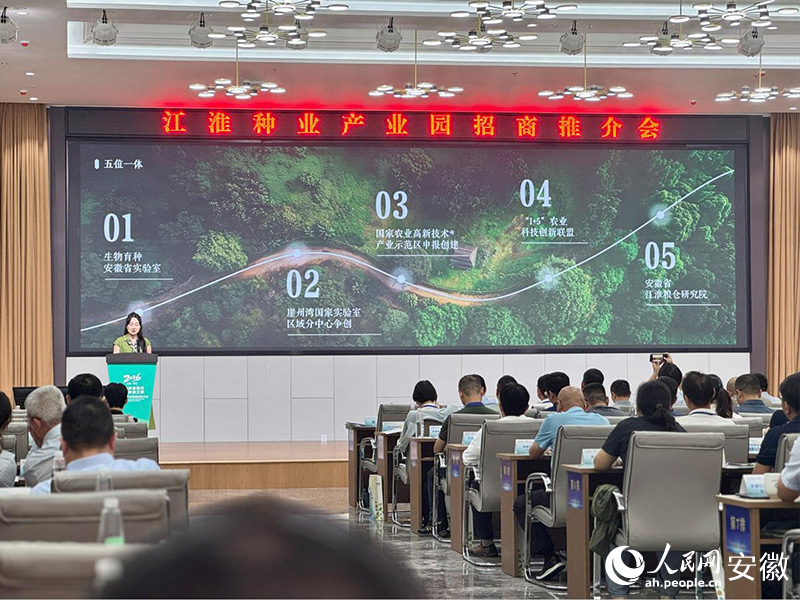 活动现场招商推介环节。人民网记者 吕欢欢摄