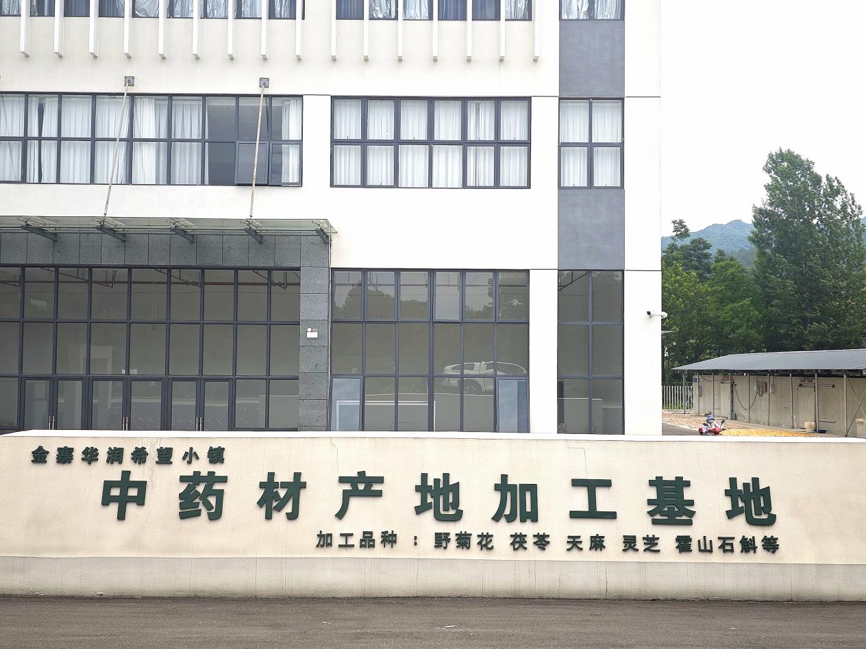 合肥华润三九上游——华润三九（六安）中药材产业发展有限公司种植基地。受访者供图