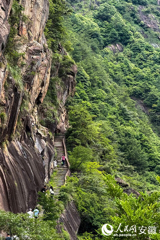 隐在青山间的徽杭古道。人民网记者 李希蒙摄