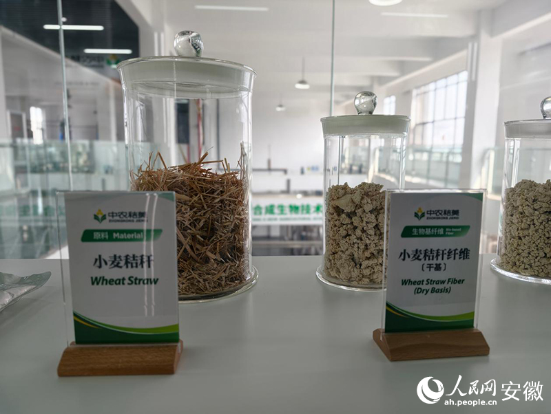 中农秸美科技有限公司展厅展示的小麦秸秆及小麦秸秆纤维。人民网 陶伟摄