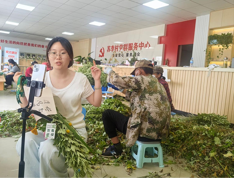 直播推介艾草制品。