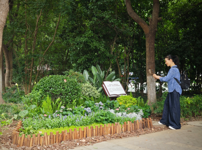 小区“转角绿”微景观吸引居民驻足拍照