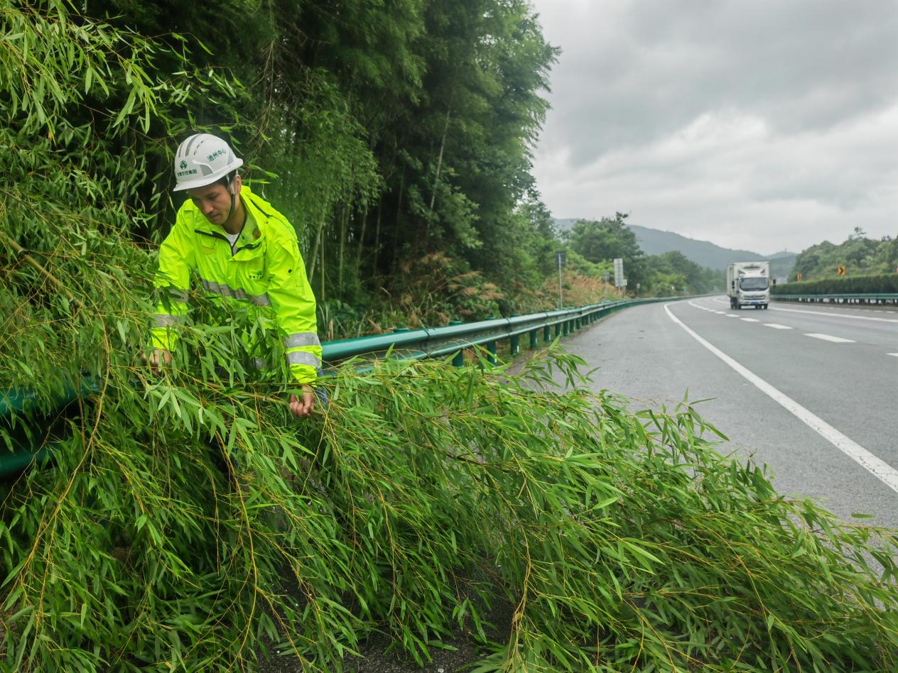 池州中心路产管理员快速清理G35济广高速倒伏树枝