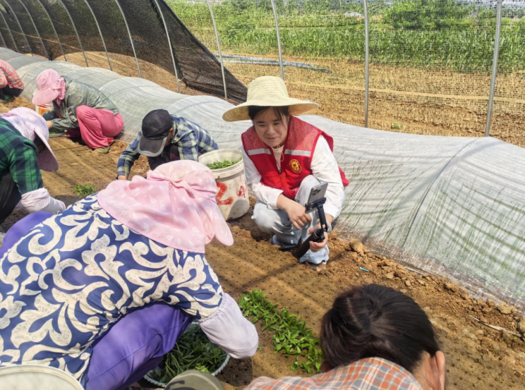 直播讲解育苗管护要点。郭娇艳摄