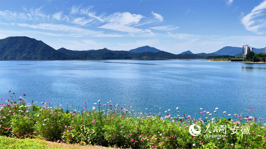 太平湖畔，花开浪漫。人民网 郭昊摄