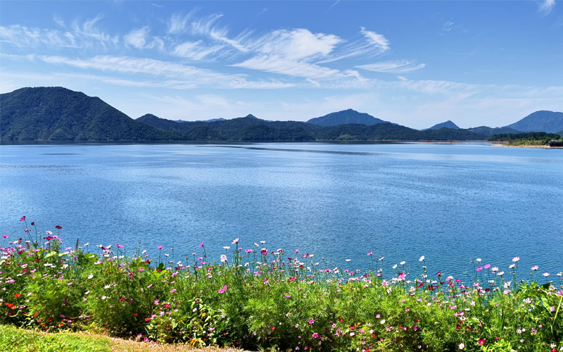 黄山市黄山区：山水太平湖 生态绘新篇