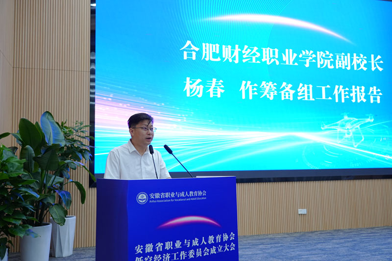 杨春代表低空经济工作委员会筹备组作工作报告。