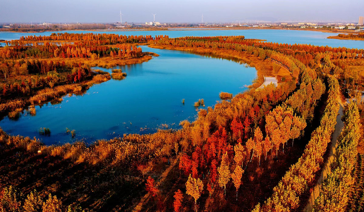 鳳棲湖濕地公園