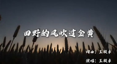 国投丰乐BGM《田野的风吹过金黄》