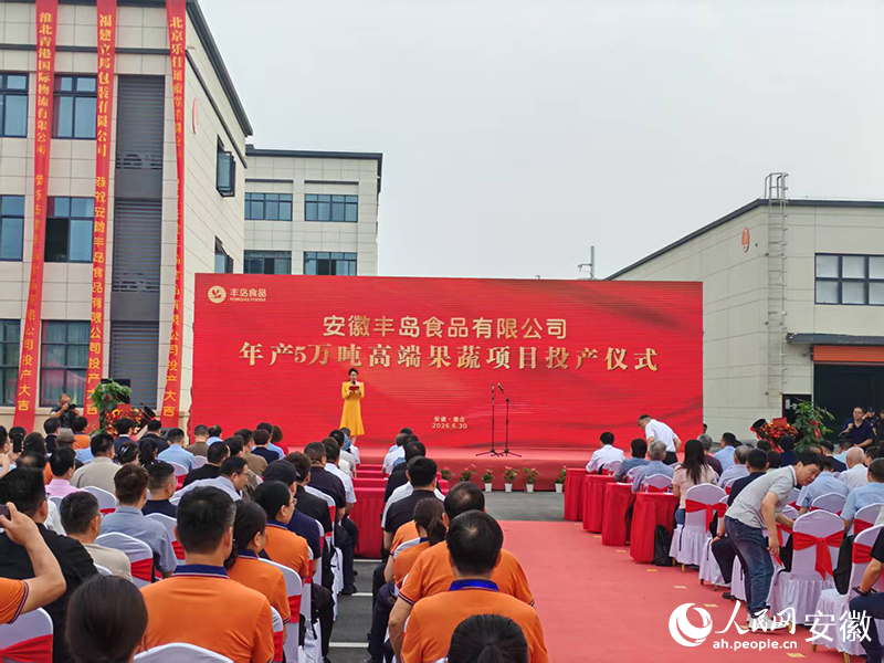 安徽丰岛投产仪式活动现场。人民网 丁纪摄