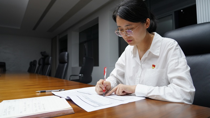 合肥市优秀党务工作者 孙莉
